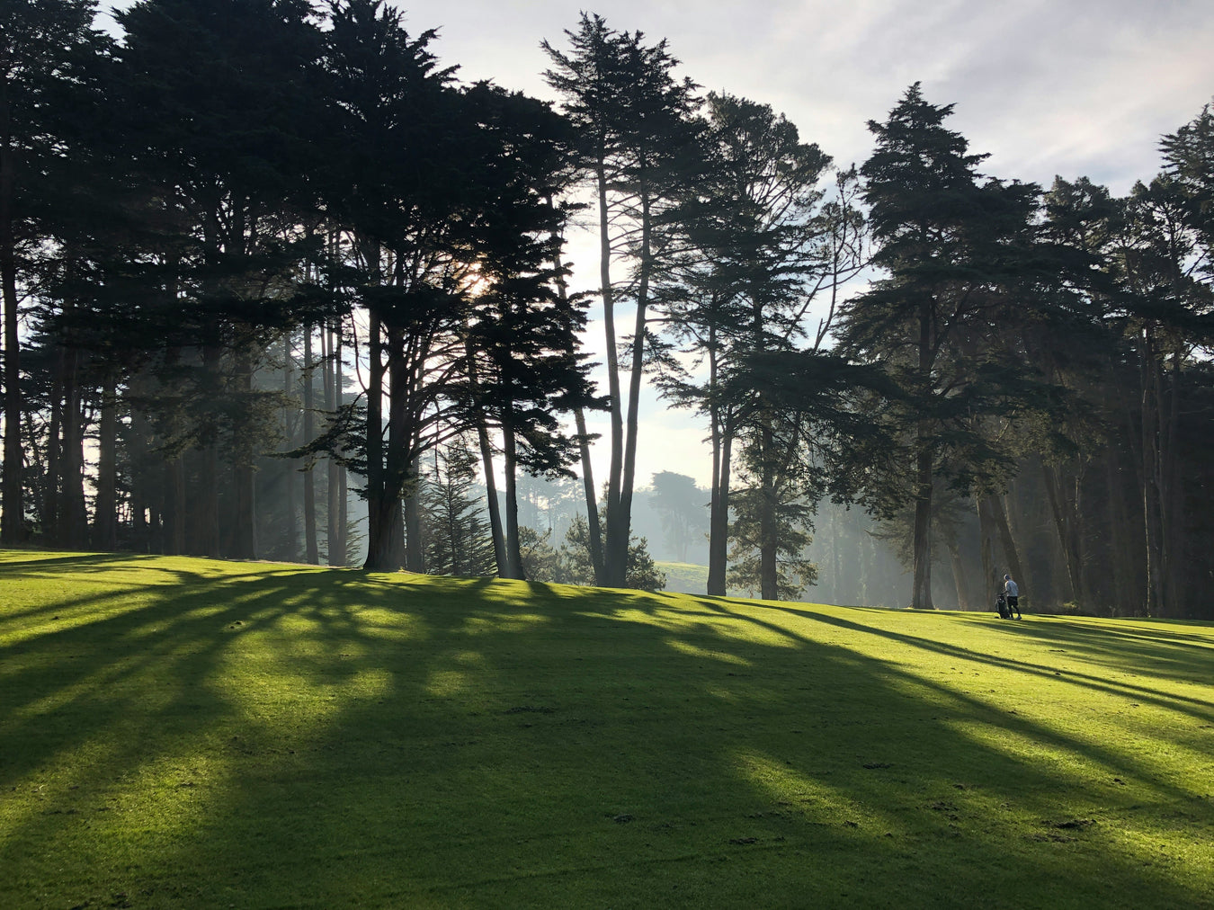 Golfbanans fairway, hybrider